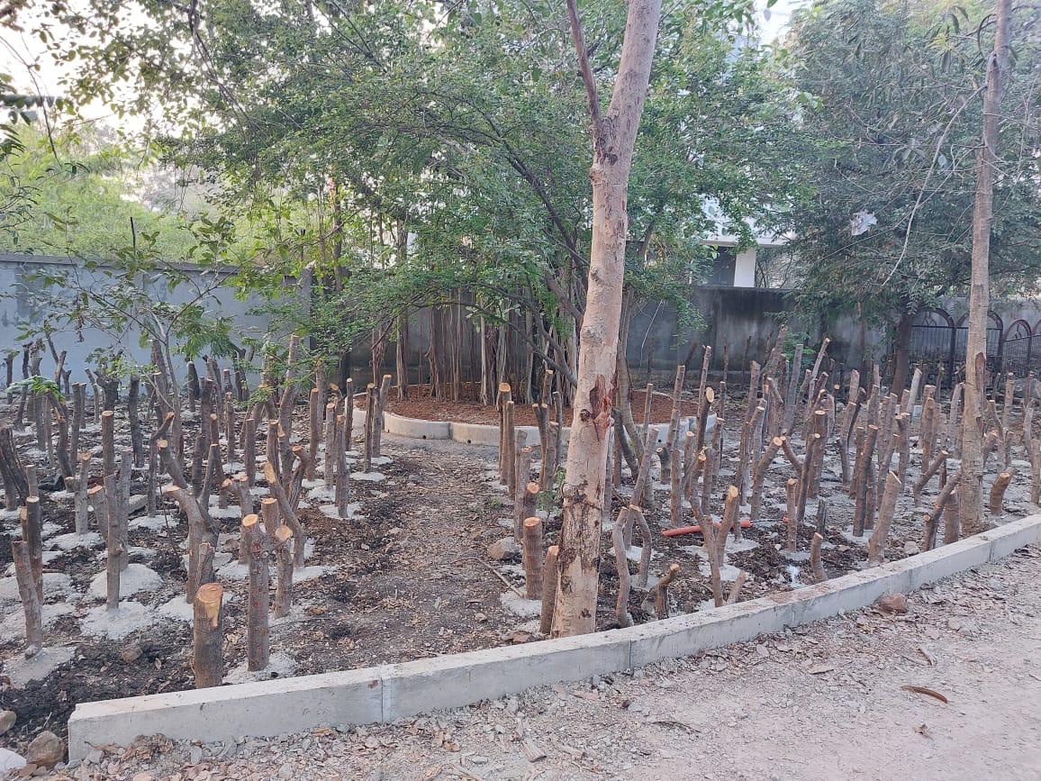 Biodiversity park
